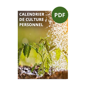Couverture d'un PDF intitulé 'Calendrier de culture personnel', avec une image d'une jeune plante arrosée.